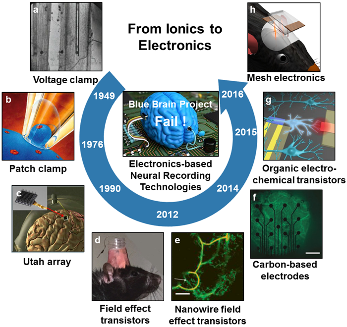 理化所提出从离子学到量子离子学的生物信息转化技术