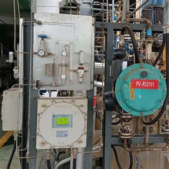 氧分析儀廠家 氧含量分析儀廠家 含氧量分析儀廠家 氣體分析儀器廠家 諾科儀器NK-100系列