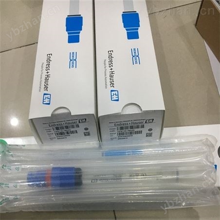 E+H熱式質量流量計FTC260-AA4D1基本說明