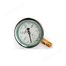 HAKK-YTN、YTNB系列耐振压力表