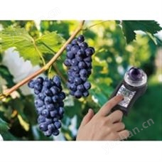 ATAGO爱拓 PAL-HIKARi 2非破坏式无损葡萄糖度计