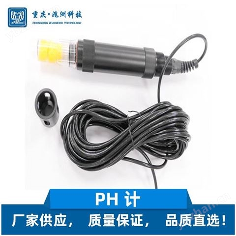 兆洲科技 在線檢測(cè)ph計(jì) 水質(zhì)分析儀器 