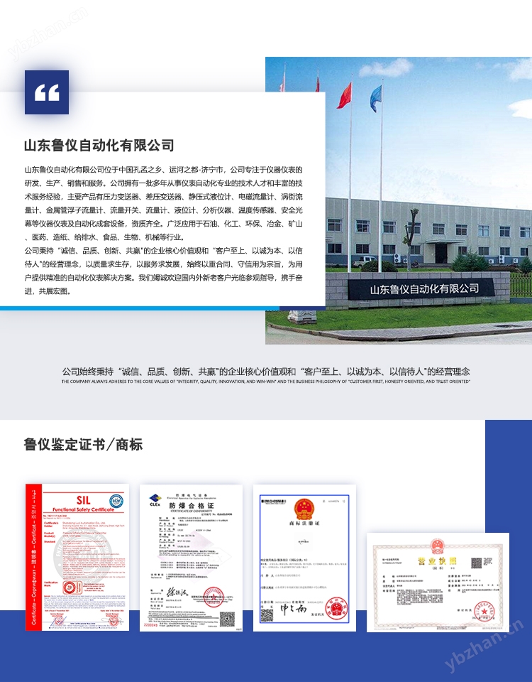 山东鲁仪自动化有限公司