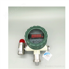 CYDK-III-SG压力声光报警仪（防爆控制器出厂价）