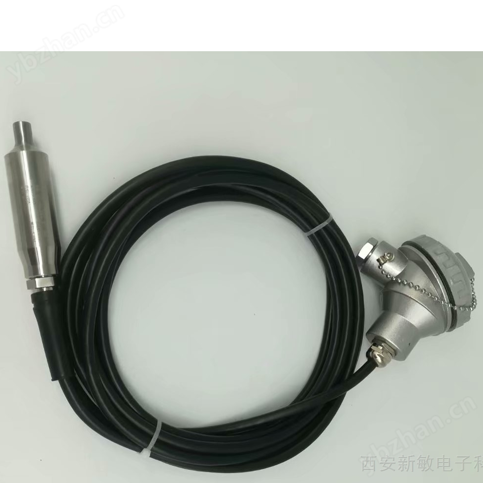 投入式温度变送器SBTW（出厂价）